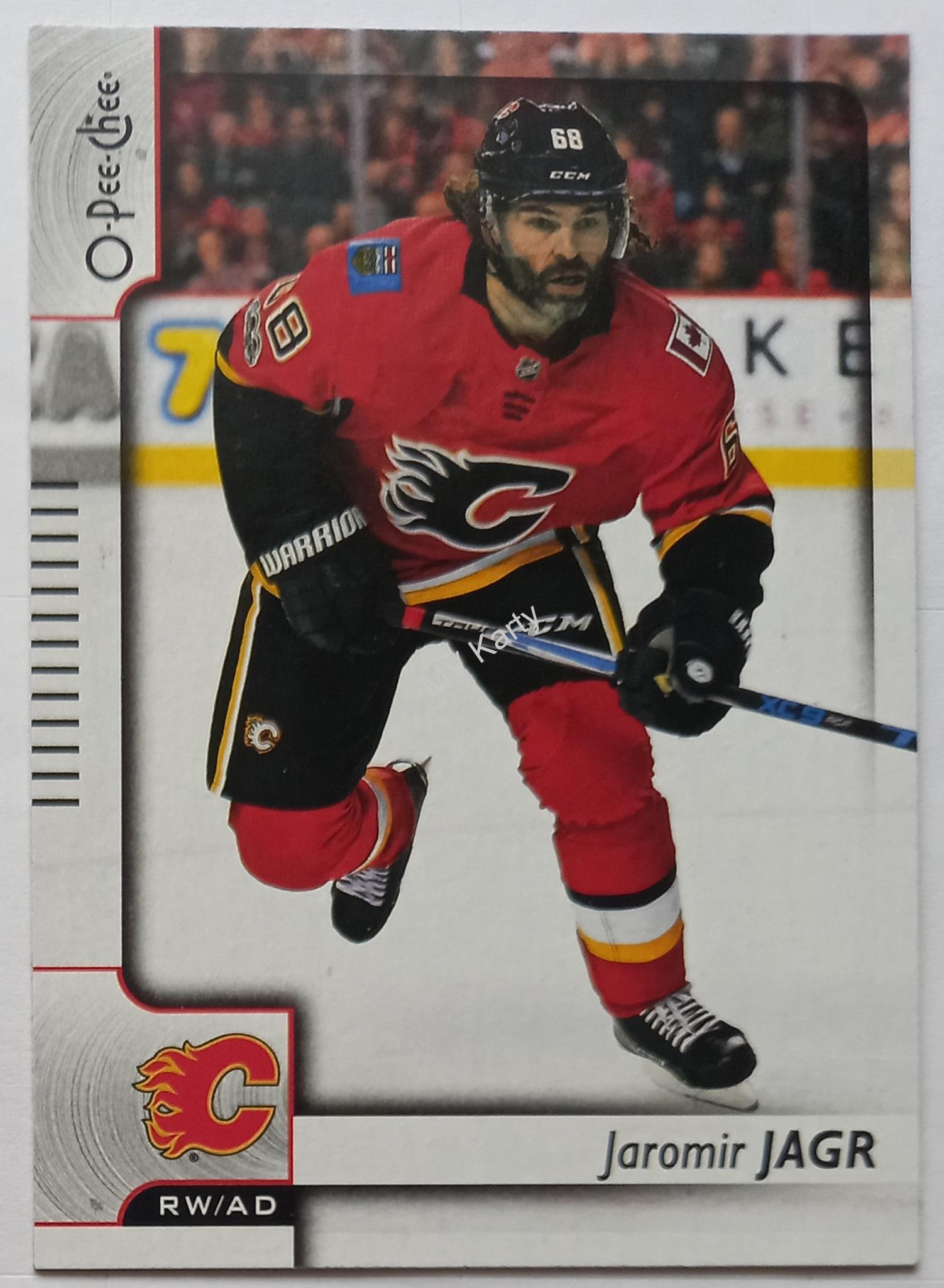 2017-18 Upper Deck - O-Pee-Chee Update #603 Jaromir Jagr