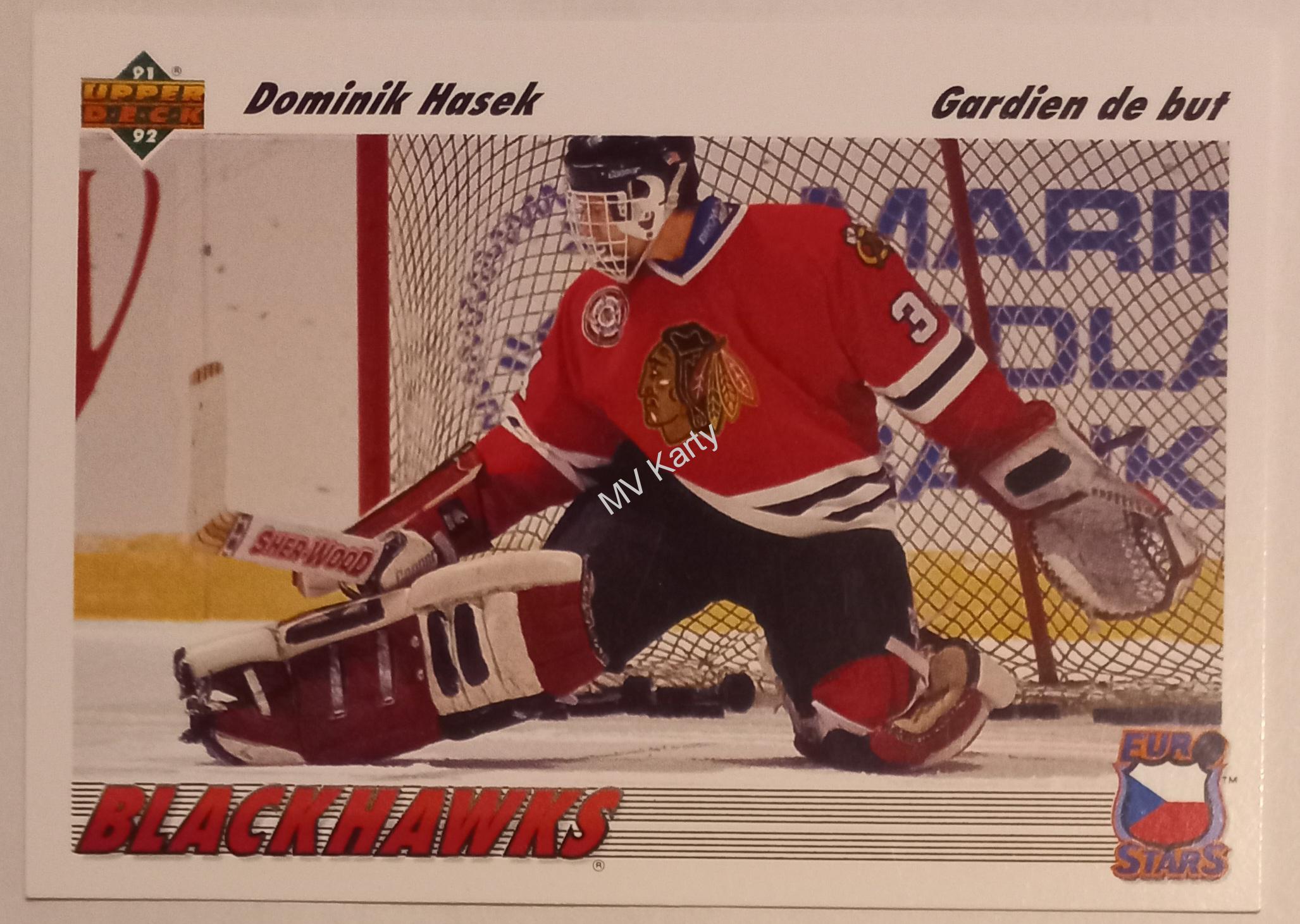 1991-92 Upper Deck - Euro-Stars - French #E14 - Dominik Hasek
