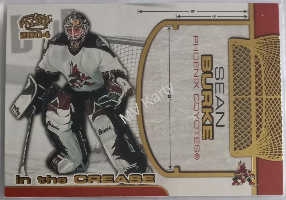 2003-04 Pacific - in the Crease #10 Sean Burke