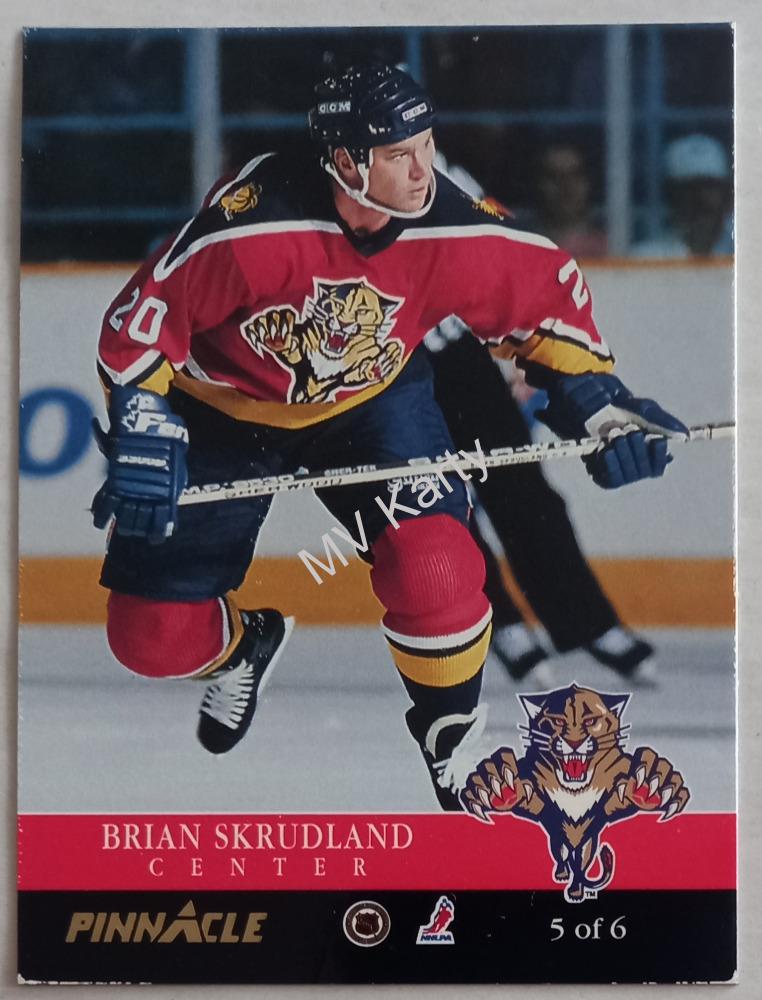1993-94 Pinnacle - Expansion #5 Brian Skrudland, Terry Yake Popis !!