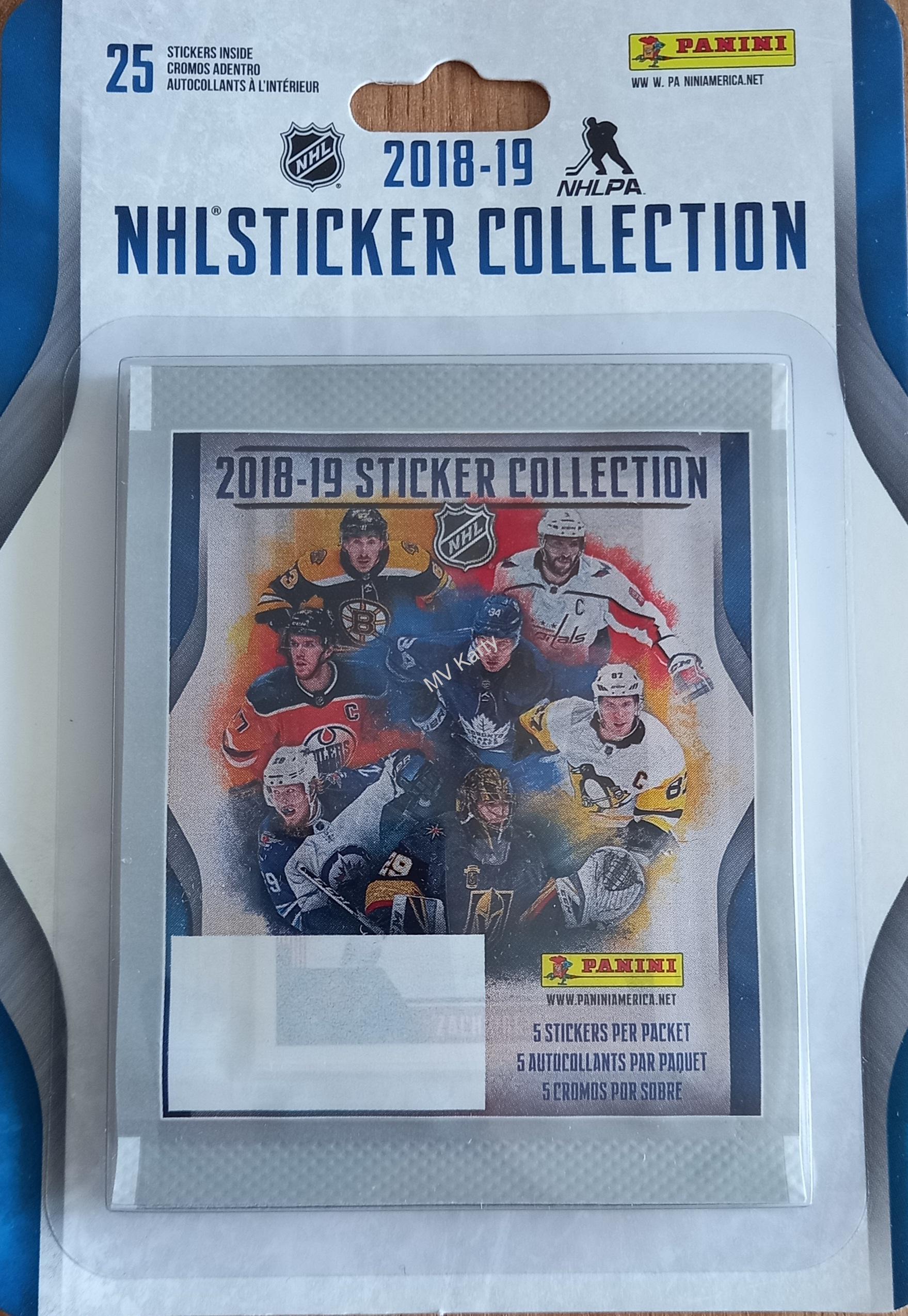 2018-19 Panini blistr