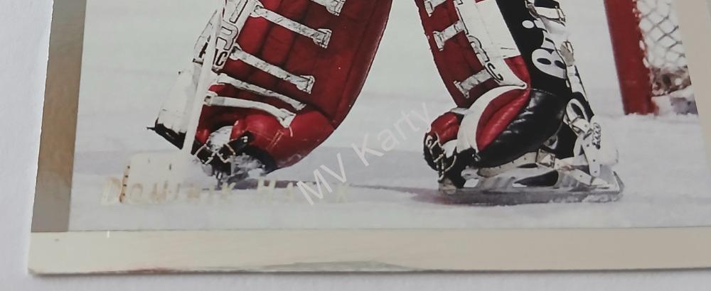 1992-93 Upper Deck - Euro Stars #E3 Dominik Hasek Popis!!