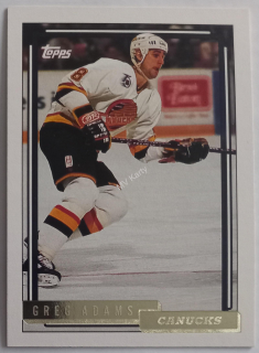 1992-93 Topps - [Base] - Gold #507 Greg Adams