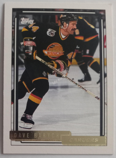 1992-93 Topps - [Base] - Gold #138 Dave Babych