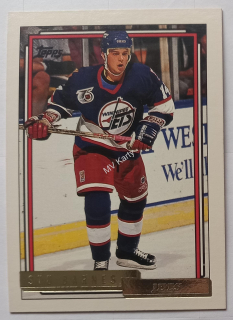 1992-93 Topps - [Base] - Gold #210 Stu Barnes