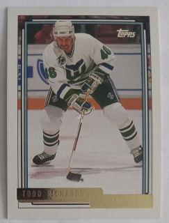 1992-93 Topps - [Base] - Gold #79 Todd Richards