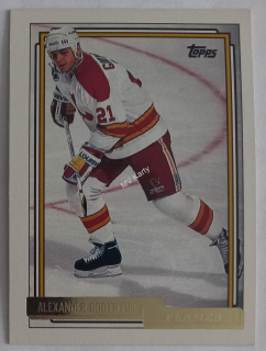 1992-93 Topps - [Base] - Gold #256 Alexander Godynyuk