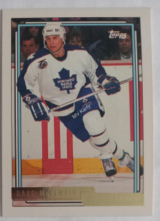 1992-93 Topps - [Base] - Gold #393 Dave McLlwain