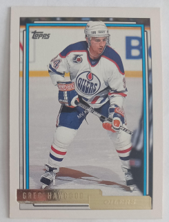1992-93 Topps - [Base] - Gold #358 Greg Hawgood