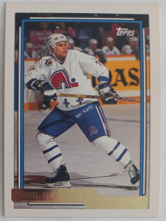 1992-93 Topps - [Base] - Gold #124 Curtis Leschyshyn