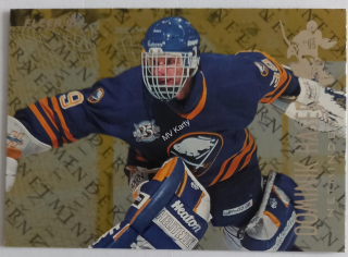 1994-95 Fleer - Netminder (10 karet v setu)