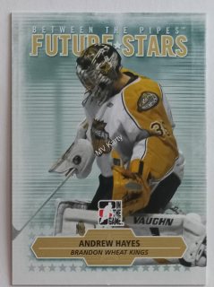 2009-10 In the Game Between the Pipes - [Base] #31  Future Stars - Andrew Hayes