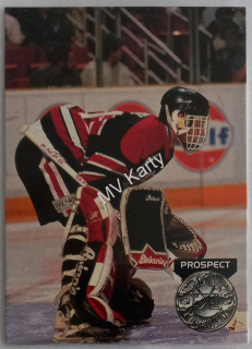 1991-92 Pro Set Platinum - [Base] #252  Dominik Hasek