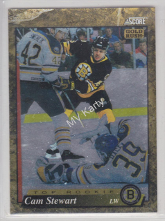 1993-94 Score - [Base] - American Gold Rush #588 - Cam Stewart
