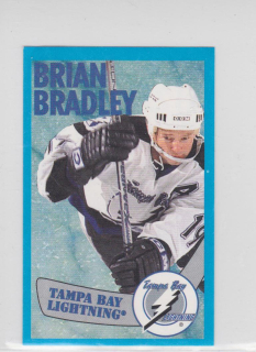 1996-97 Panini Album Stickers - [Base] #122 - Brian Bradley