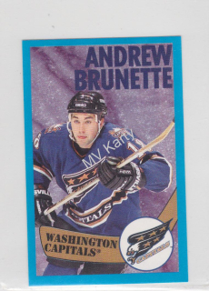 1996-97 Panini Album Stickers - [Base] #141 - Andrew Brunette