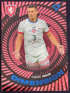 2024 SportZoo Hrdí Lvi Dimension 3 #DM-05 Tomáš Holeš
