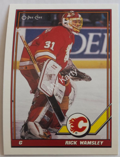1991-92 O-Pee-Chee - [Base] #459 Rick Wamsley