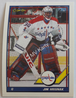 1991-92 O-Pee-Chee - [Base] #487 Jim Hrivnak