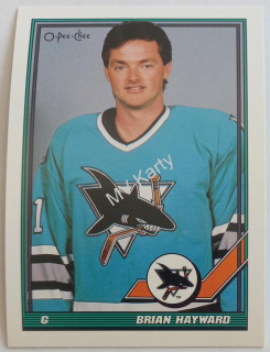1991-92 O-Pee-Chee - [Base] #178 Brian Hayward