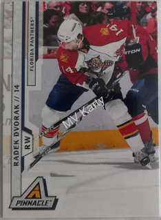 2010-11 Panini Pinnacle - [Base] #114 Radek Dvorak