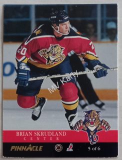 1993-94 Pinnacle - Expansion #5 Brian Skrudland, Terry Yake Popis !!