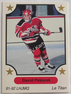 1991-92 7th Inning Sketch LHJMQ - [Base] #239  David Pekorek