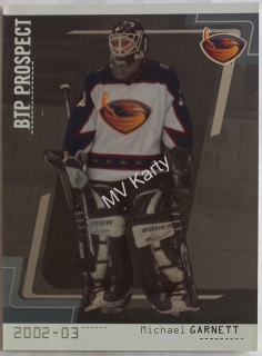 2002-03 In the Game Be A Player Between the Pipes - [Base] - Silver #110  Michael Garnett #/100