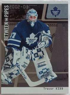2002-03 In the Game Be A Player Between the Pipes - [Base] - Silver #46 Trevor Kidd #/100