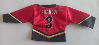 2006-07 Upper Deck Mini Jersey - Jerseys #NNO - Dion Phaneuf