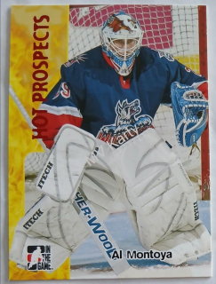 2005-06 In the Game Heroes and Prospects - [Base] #374  Al Montoya