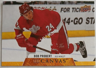 2020-21 Upper Deck - UD Canvas #C253 Retired Stars - Bob Probert