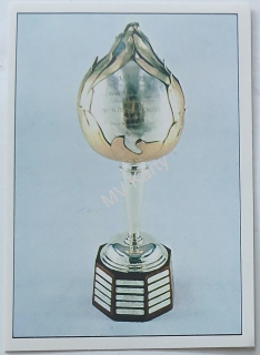 1990-91 Panini Album Stickers - [Base] #346 Hart Memorial Trophy