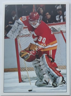 1990-91 Panini Album Stickers - [Base] #329 Mike Vernon