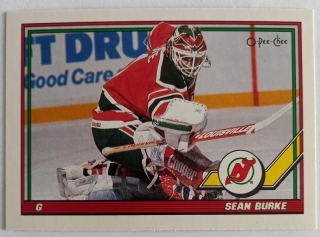1991-92 O-Pee-Chee - [Base] #67 Sean Burke