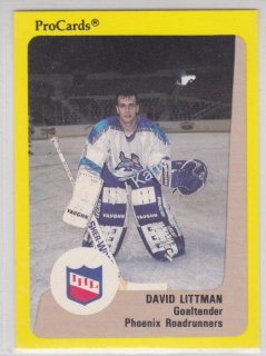1989-90 Procards IHL - [Base] #103 - David Littman