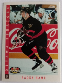 1993-94 Score - [Base] - American #476  Radek Hamr