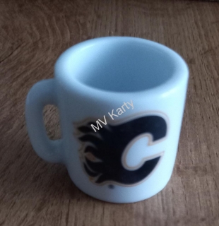 Hrneček Calgary Flames