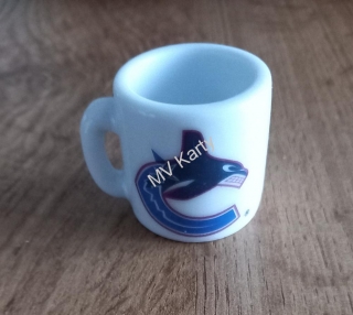 Hrneček Vancouver Canucks