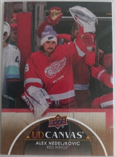 2021-22 Upper Deck Extended Series - UD Canvas #C298 Alex Nedeljkovic